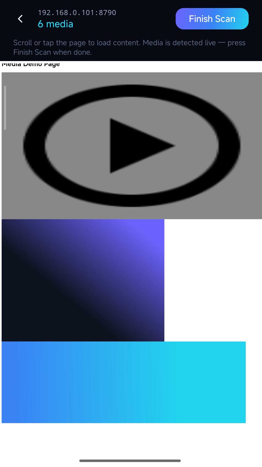 WebMedia Scanner screenshot 3